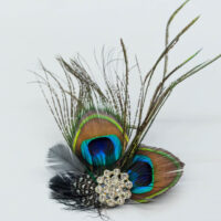 Peacock Clips